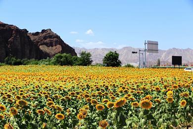 《星刃》将和《妮姬：胜利女神》联动 照片模式考虑中