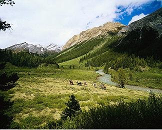 《霍格沃茨之遗》续作正在优先开发 将带来可观收入