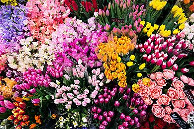 科幻版《寂静岭》？Bloober新作《时间旅者：重生曙光》概念图曝光